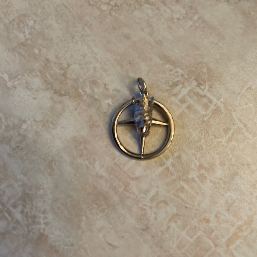 Tiffany&co customized skull pendant